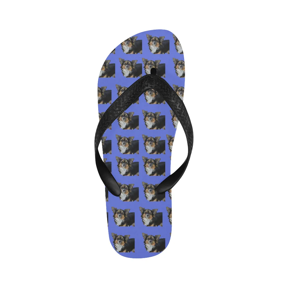 Chihuahua Flip Flops - Long Hair